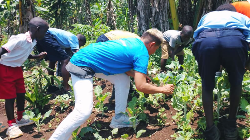Gardening & Sustainability