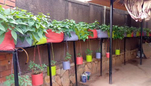 gardening